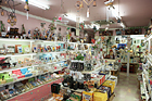 Kitano marineピックアップ01