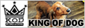 KING OF DOG