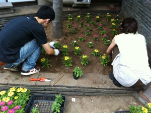 201108花の植え付け風景